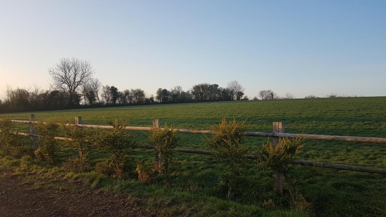 Le Domaine Des Roseraies Monfréville Kültér fotó